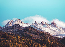 世界杯官方直播软件安装-CBA-多人得分上双 辽宁本钢主场击败山西汾酒